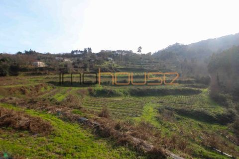 Farm i Cinfaes, Viseu, Cinfaes - € 225.000 | Ref: 00844FR - foto 37