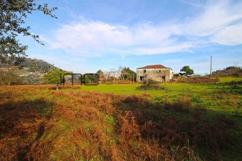 Farm i Cinfaes, Viseu, Cinfaes - € 225.000 | Ref: 00844FR - foto 38