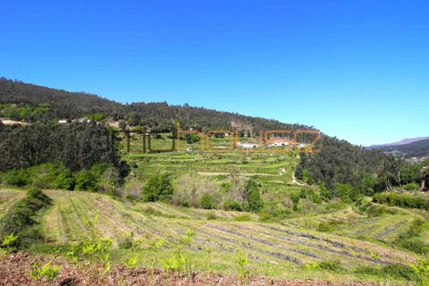 Farm i Cinfaes, Viseu, Cinfaes - € 225.000 | Ref: 00844FR - foto 2