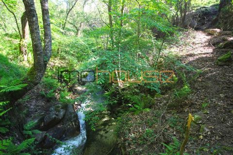 Farm i Cinfaes, Viseu, Cinfaes - € 225.000 | Ref: 00844FR - foto 3