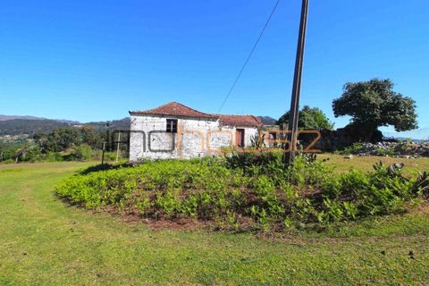 Farm i Cinfaes, Viseu, Cinfaes - € 225.000 | Ref: 00844FR - foto 5