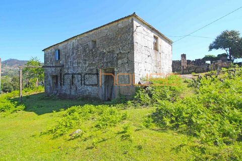 Farm i Cinfaes, Viseu, Cinfaes - € 225.000 | Ref: 00844FR - foto 6