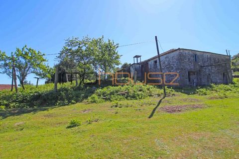 Farm i Cinfaes, Viseu, Cinfaes - € 225.000 | Ref: 00844FR - foto 7