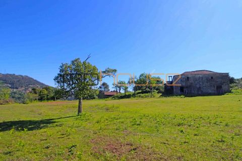 Farm i Cinfaes, Viseu, Cinfaes - € 225.000 | Ref: 00844FR - foto 8