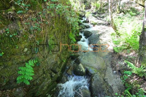 Farm i Cinfaes, Viseu, Cinfaes - € 225.000 | Ref: 00844FR - foto 22