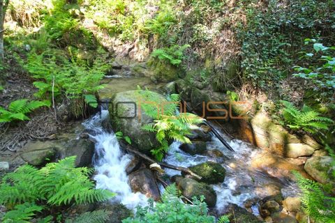 Farm i Cinfaes, Viseu, Cinfaes - € 225.000 | Ref: 00844FR - foto 23