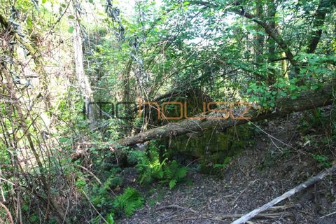 Farm i Cinfaes, Viseu, Cinfaes - € 225.000 | Ref: 00844FR - foto 25