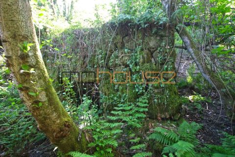 Farm i Cinfaes, Viseu, Cinfaes - € 225.000 | Ref: 00844FR - foto 26