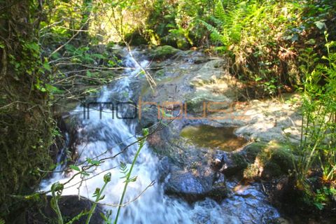 Farm i Cinfaes, Viseu, Cinfaes - € 225.000 | Ref: 00844FR - foto 28