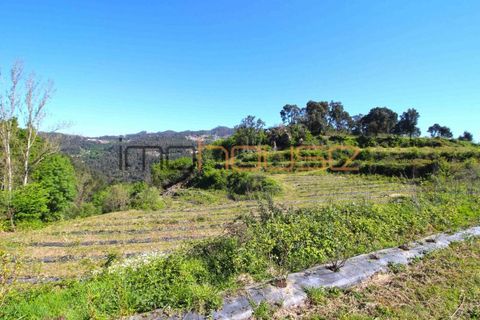 Farm i Cinfaes, Viseu, Cinfaes - € 225.000 | Ref: 00844FR - foto 30