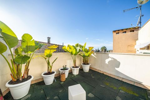 Rækkehus i Calvia, Mallorca, Calvia - € 695.000 | Ref: 01GDNU008/3010 - foto 15