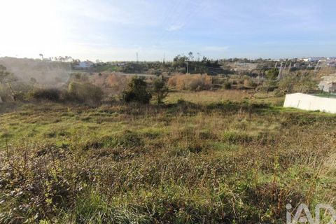 Terra a Batalha, Leiria, Batalha - € 70.000 | Ref: 833368 - foto 17