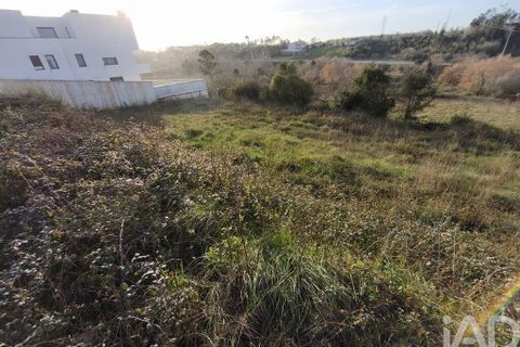 Terra a Batalha, Leiria, Batalha - € 70.000 | Ref: 833368 - foto 9