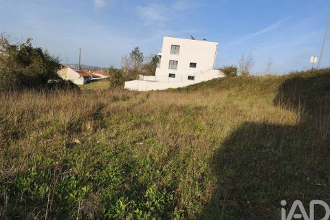 Terra a Batalha, Leiria, Batalha - € 70.000 | Ref: 833368 - foto 13