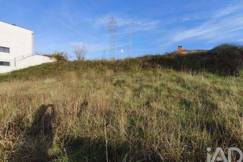 Terra a Batalha, Leiria, Batalha - € 70.000 | Ref: 833368 - foto 19