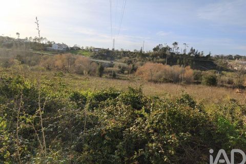 Terra a Batalha, Leiria, Batalha - € 70.000 | Ref: 833368 - foto 21