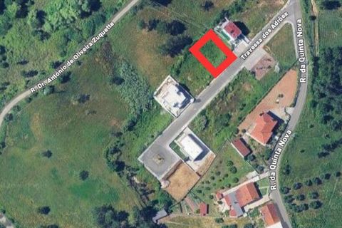 Terra a Batalha, Leiria, Batalha - € 70.000 | Ref: 833368 - foto 12