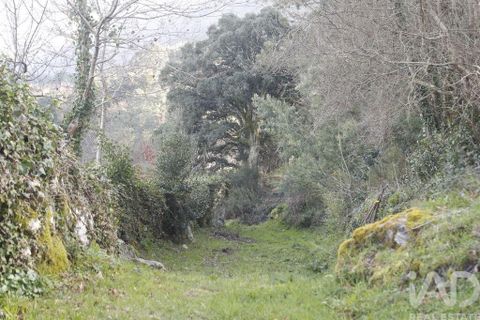 Helårsgrund i Valenca, Viana do Castelo, Valenca - € 32.000 | Ref: 826632 - foto 10