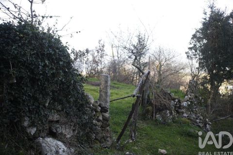 Helårsgrund i Valenca, Viana do Castelo, Valenca - € 32.000 | Ref: 826632 - foto 11