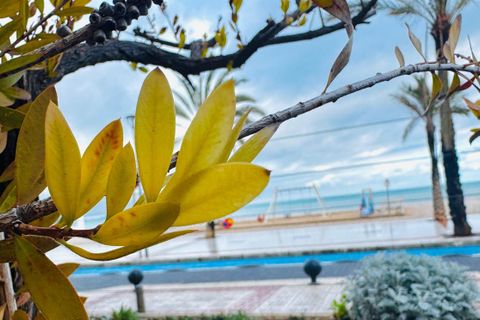 Leilighet i Albir, Alicante, Albir - € 535 000 | Ref: 1539 - foto 31