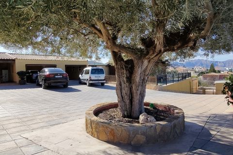 Finca i Bigastro, Alicante, Bigastro - € 459.000 | Ref: 930-00177P - foto 7