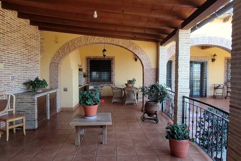 Finca i Bigastro, Alicante, Bigastro - € 459.000 | Ref: 930-00177P - foto 10