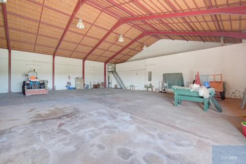 Farm i Coruche, Santarem, Coruche - € 780.000 | Ref: QUIMAZ001 - foto 30