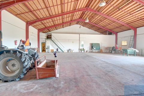 Farm i Coruche, Santarem, Coruche - € 780.000 | Ref: QUIMAZ001 - foto 32
