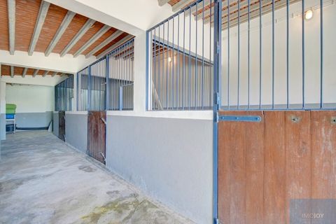 Farm i Coruche, Santarem, Coruche - € 780.000 | Ref: QUIMAZ001 - foto 34