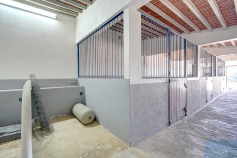 Farm i Coruche, Santarem, Coruche - € 780.000 | Ref: QUIMAZ001 - foto 36