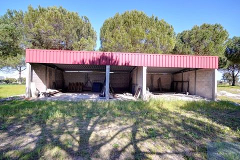 Farm i Coruche, Santarem, Coruche - € 780.000 | Ref: QUIMAZ001 - foto 37