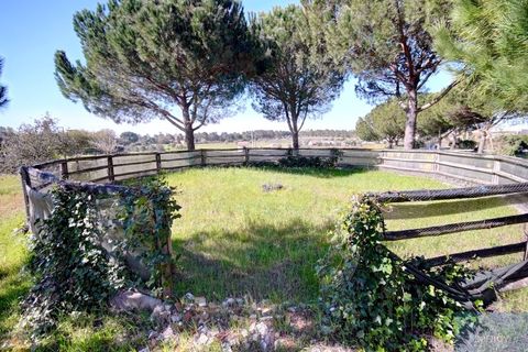 Farm i Coruche, Santarem, Coruche - € 780.000 | Ref: QUIMAZ001 - foto 38