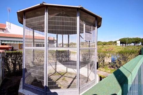 Farm i Coruche, Santarem, Coruche - € 780.000 | Ref: QUIMAZ001 - foto 39
