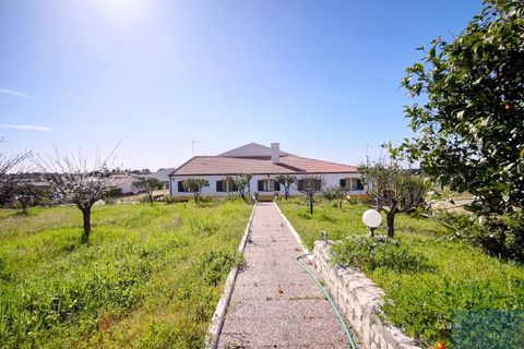 Farm i Coruche, Santarem, Coruche - € 780.000 | Ref: QUIMAZ001 - foto 41
