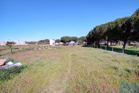 Farm i Coruche, Santarem, Coruche - € 780.000 | Ref: QUIMAZ001 - foto 44