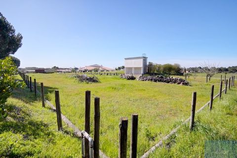 Farm i Coruche, Santarem, Coruche - € 780.000 | Ref: QUIMAZ001 - foto 45