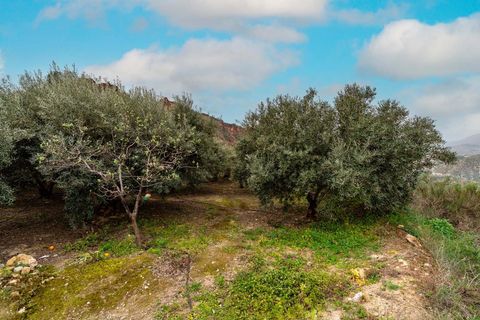 Villa a Canjayar, Almeria, Canjayar - € 320.000 | Ref: 13978-RVR/2912 - foto 29