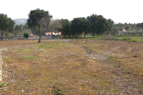Helårsgrund i Alcobaca, Leiria, Alcobaca - € 75.000 | Ref: 820408 - foto 3