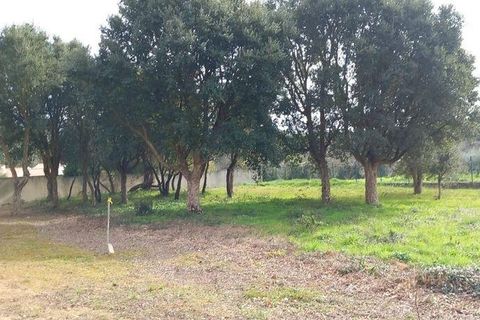 Helårsgrund i Alcobaca, Leiria, Alcobaca - € 75.000 | Ref: 820408 - foto 5