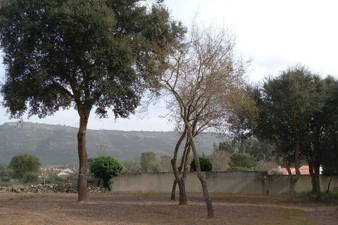 Helårsgrund i Alcobaca, Leiria, Alcobaca - € 75.000 | Ref: 820408 - foto 6