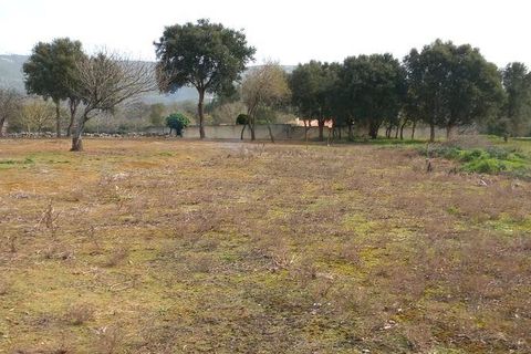 Helårsgrund i Alcobaca, Leiria, Alcobaca - € 75.000 | Ref: 820408 - foto 7