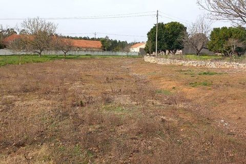 Helårsgrund i Alcobaca, Leiria, Alcobaca - € 75.000 | Ref: 820408 - foto 8