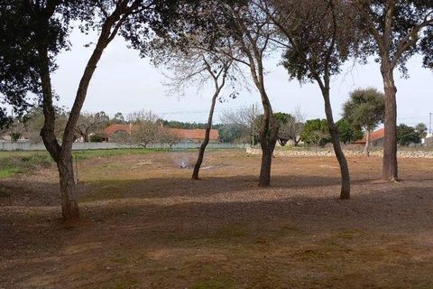 Helårsgrund i Alcobaca, Leiria, Alcobaca - € 75.000 | Ref: 820408 - foto 9