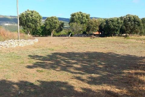Helårsgrund i Alcobaca, Leiria, Alcobaca - € 75.000 | Ref: 820408 - foto 11
