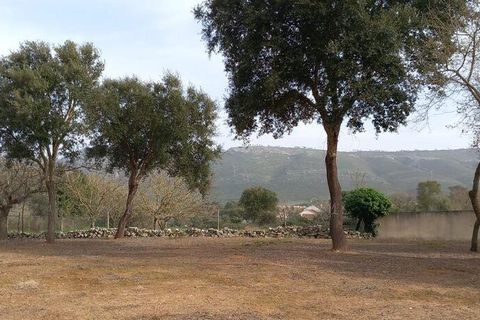 Helårsgrund i Alcobaca, Leiria, Alcobaca - € 75.000 | Ref: 820408 - foto 12