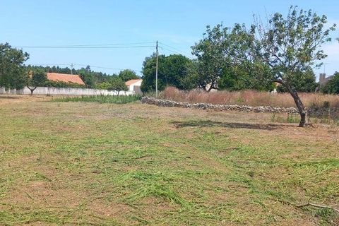 Helårsgrund i Alcobaca, Leiria, Alcobaca - € 75.000 | Ref: 820408 - foto 13