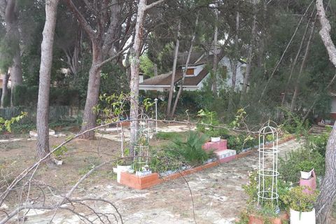 Terra a Serra, Valencia, Serra - € 213.000 | Ref: EXP13496/8930 - foto 3