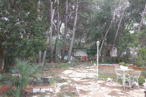 Terra a Serra, Valencia, Serra - € 213.000 | Ref: EXP13496/8930 - foto 4