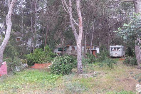 Terra a Serra, Valencia, Serra - € 213.000 | Ref: EXP13496/8930 - foto 5