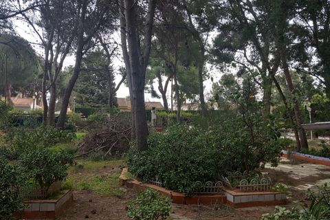 Terra a Serra, Valencia, Serra - € 213.000 | Ref: EXP13496/8930 - foto 6